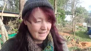 wartime kitchen amp garden vlog amp some news Ration book challenge frugalliving gardening frugal [upl. by Ahsinav]