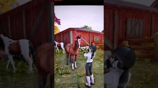 Jaka jest NAJLEPSZA rasa w Star Stable 💬🐎 sso starstable starstableonline [upl. by Hsiwhem]