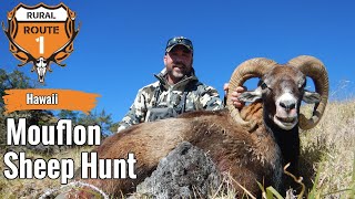 SUCCESS  Mouflon Hunt  Hawaii 2022  rr1hunt [upl. by Gaillard]