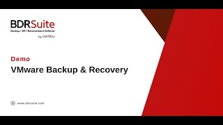 How to Backup and Restore VMware Virtual Machines on ESXi amp vCenter Server  BDRSuite Demo [upl. by Aihsitan]