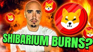 SHIBA INU COIN NEWS BURN ALL SHIBARIUM TOKENS [upl. by Proud]