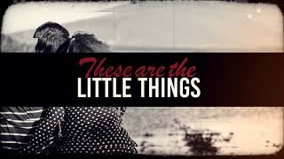 Stevie Hoang  Little Things Lyric Video [upl. by Comstock743]