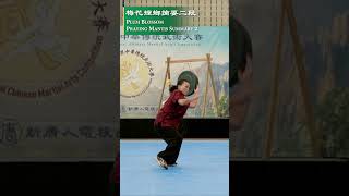 【2024 NTD Int’l Traditional Chinese Martial Arts Competition】🥈Silver Award Winner ➡️YiChen Shih [upl. by Yelyab]