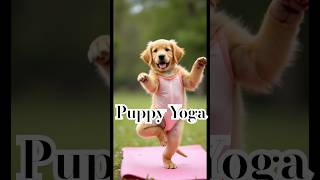 Puppy Yoga goldenretriever puppy yoga dog cute [upl. by Amitak]