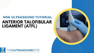 Musculoskeletal ultrasound tutorial  Anterior talofibular ligament [upl. by Else]