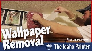 Removing Wallpaper FAST amp Painting Over Wallpaper [upl. by Bergren208]