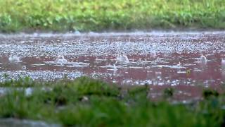 Heavy rain falling  Free stock video  orangeHDcom [upl. by Franciskus]