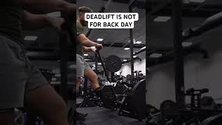 Deadlift is NOT for back day jeffnippard fitnesstrainer backday deadlift bodybuilding [upl. by Marlee]