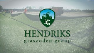 Hendriks Graszoden Hybrid turf production process [upl. by Kuster]