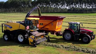 Gras hakselen  Chopping grass  New Holland  Massey Ferguson  Veenhuis  Gras Häckseln  2024 [upl. by Heer265]