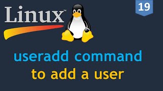 19  Linux for DevOps  Creating a User  useradd command  How to add a user on Linux [upl. by Alleber]