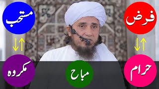 Baligh Larki Ki Shaadi na Karny Par Waeed Mufti Tariq Masood हिंदी [upl. by Sivle]