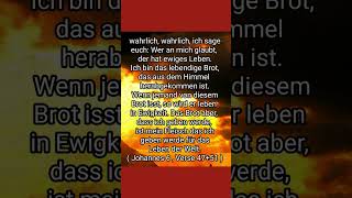 bibelverse jesuschristus zitate sprüche Bibelvers aus dem Johannes Evangelium Jesus Christus [upl. by Read364]