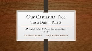 Our Casuarina Tree Part 2  Stanzas 23 12th English Samacheer Kalvi [upl. by Nosae]