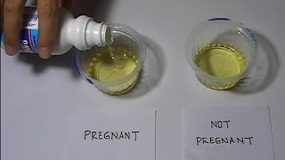 Home Pregnancy Test with Bleach Positive [upl. by Nathan]