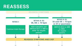 Heart Failure Treatment of HF with Reduced Ejection Fraction HFrEF [upl. by Nysa678]