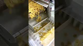 Pani puri making process  panipuri youtube facts factorymaking factorymakingprocess [upl. by Hsatan]