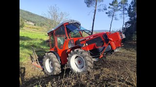 Desbroce de motes  Antonio Carraro 8400 TRF  Timelapse GoPro Hero 10 [upl. by Pascia]