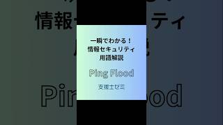 一瞬でわかる！情報セキュリティ用語解説「Ping Flood」 情報セキュリティ [upl. by Eaton]