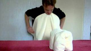 How to fold a towel animal  Schoonmaaktips  Handdoeken vouwen Olifant part2 [upl. by Nyliak]