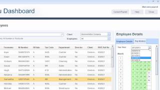 IRIS Bureau Payroll Demonstration [upl. by Nawotna]