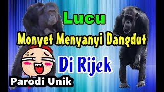 Monyet Nyanyi dan Joget  Parodi Dangdut Di Rijek Koplo  Jenita Janet [upl. by Notsirk759]