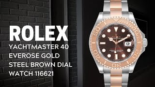 Rolex Yachtmaster 40 Everose Gold Steel Brown Dial Watch 116621 Review  SwissWatchExpo [upl. by Vladi]