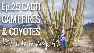 RV Life amp Travel Ep 25 Cacti Campfires amp Coyotes  RV Life in Why AZ [upl. by Auqenahc]