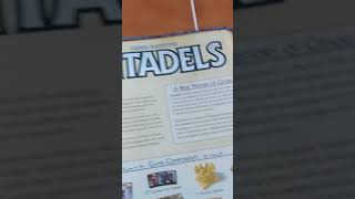 Citadels 2016 Two Player game review [upl. by Deehsar41]