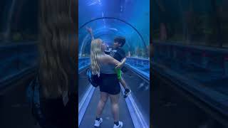 Seaworld Orlando Quick Tour [upl. by Ahs]