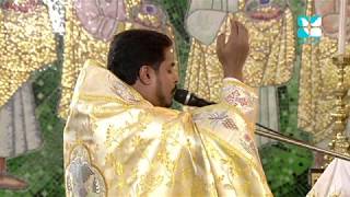 Holy Mass  Syro Malankara  Rev Fr Aby Vadakkumthala [upl. by Aneda]