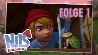 Nils Holgersson 🍃 Folge 1 Der Wunsch vom Fliegen 🍃 Die neue Serie [upl. by Steere470]