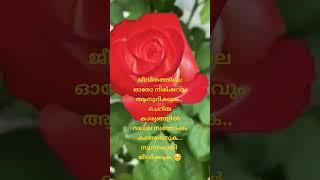 സന്തോഷത്തോടെ ജീവിക്കൂ shortvideo reels malayalam [upl. by Esinev]