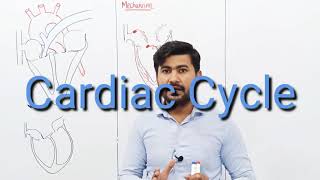 Cardiac Cycle  Mechanism of Excitation  ECG  Phases of Cardiac Cycle  FSc Class 11 Biology [upl. by Kreegar]