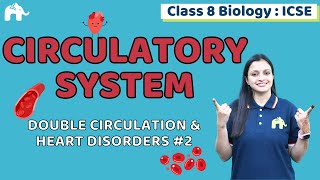 Circulatory System Class 8 ICSE Biology  Chapter 6  Double Circulation amp Heart Disorders 2 [upl. by Naiviv]