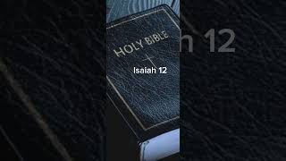 Isaiah 12 NIV The Audio Bible [upl. by Alleahcim]