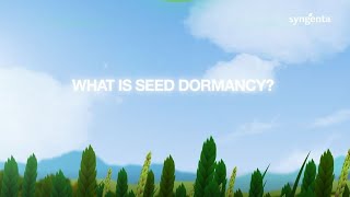 What is seed dormancy [upl. by Asor835]