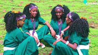 ህላዬ ወርቅነህ የወሎ ሸበላ ️ Hilaye Workineh  yewollo shebela Ethiopian best woll Full HD [upl. by Rehpretsirhc788]