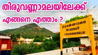 തിരുവണ്ണാമലയിൽ എങ്ങനെ എത്താം  How to go tiruvannamalai  tiruvannamalai [upl. by Alexi]