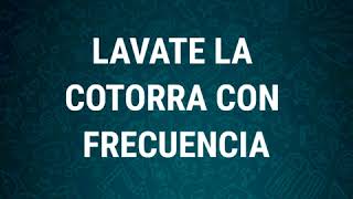 Lavate la cotorra con frecuencia  Audios Whatsapp [upl. by Nellad]