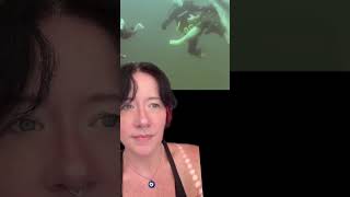 Scuba Diving Resort Part 2 shark sharks scubadiving submechanophobia horrorshorts viralvideo [upl. by Bathsheba63]