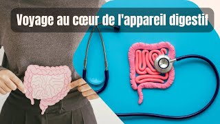 L’Appareil Urinaire et Digestif Pilliers de la Santé [upl. by Litta811]