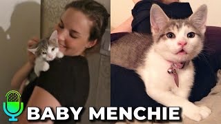 Menchie the Cat as a Kitten [upl. by Eissak]