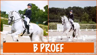 Hoe rij ik een Bproef dressuur  PaardenpraatTV [upl. by Kassab617]