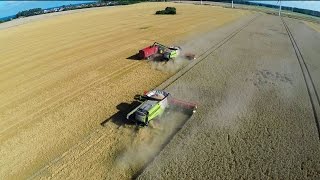 Harvest 2014  big farming in Germany 4x Lexion 780 10 JD tractors 3 Horsch seeders [upl. by Ause742]