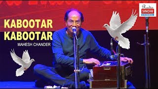 Kabootar Kabootar  Mahesh Chander  Sur Chander Ja Raat Chander Ji 2018 [upl. by Ezara]