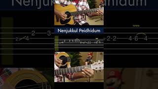 Nenjukkul Peidhidum  Intro  Guitar Tabs Lesson [upl. by Nlocnil745]