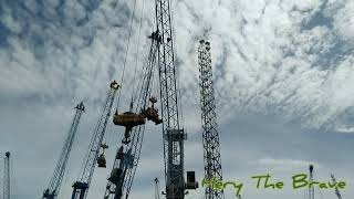 CARA BOOM DOWN CRANE GHMC GOTTWALD HARBOUR MOBILE CRANE 4406 [upl. by Latsirk]