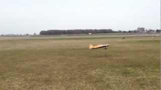 Sbach RC Electric Aircraft [upl. by Reibaj]