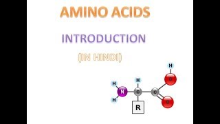 Amino Acid  Part1  INTRODUCTION  HINDI [upl. by Chung]